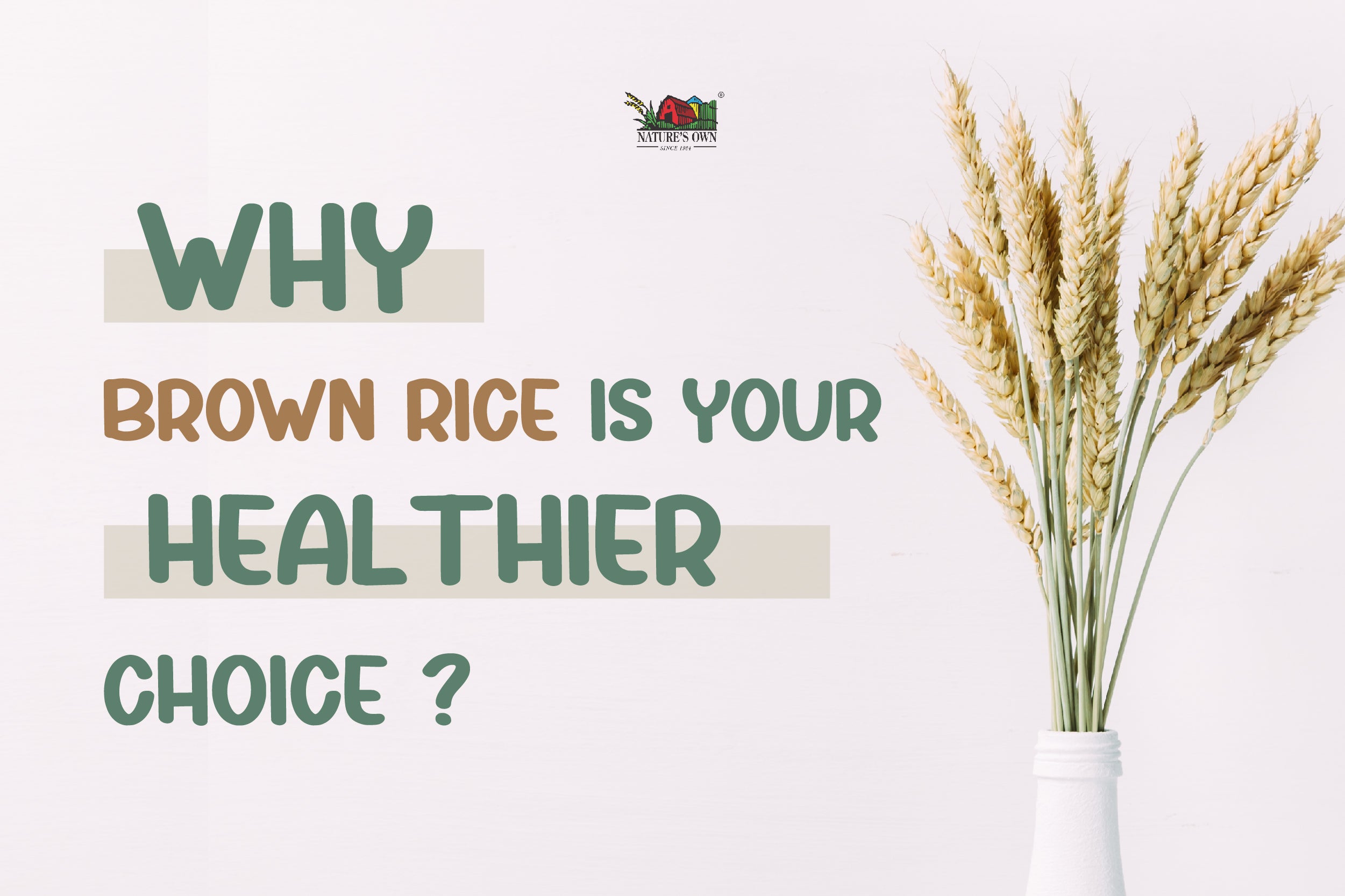 Why Brown Rice Is Your Healthier Choice? Nature's Own