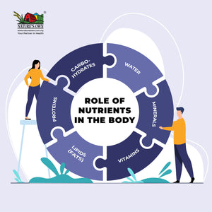 Role of Nutrients in the Body