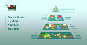 Malaysian Food Pyramid